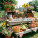  Summer & Gardening
