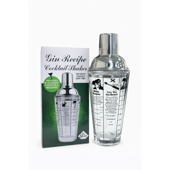 Gin Recipe Cocktail Shaker - 400ml